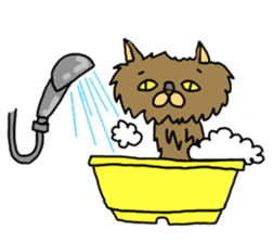 Asian Cat sticker #1031873