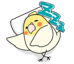 Cockatiel Sticker1 sticker #1032858