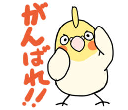 Cockatiel Sticker1 sticker #1032861