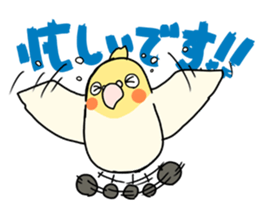 Cockatiel Sticker1 sticker #1032865