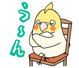Cockatiel Sticker1 sticker #1032871