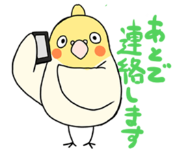 Cockatiel Sticker1 sticker #1032878