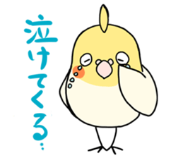 Cockatiel Sticker1 sticker #1032881