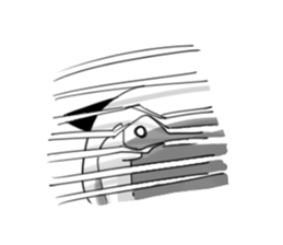 This is a kitten sticker #1034317