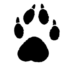 Fox girl & Raccoon dog girl sticker #1034800