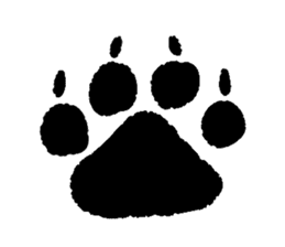 Fox girl & Raccoon dog girl sticker #1034801