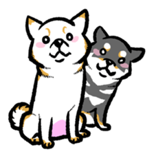 white shiba inu sticker english version sticker #1035118