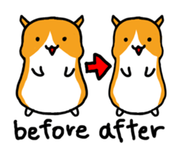 Hamsters diet sticker #1036119