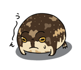 Common rain frog sticker #1037164