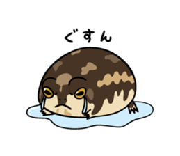 Common Rain Frog By Jimno Sticker