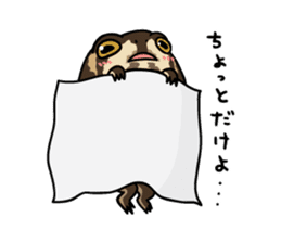 Common rain frog sticker #1037174