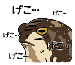 Common rain frog sticker #1037181
