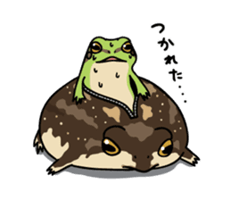 Common rain frog sticker #1037198