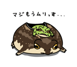 Common rain frog sticker #1037199