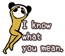 Panda only face No.1(English) sticker #1038512