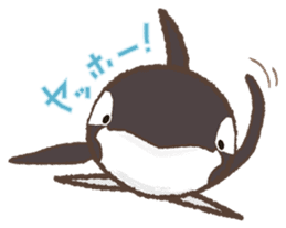 dolphin,whale,orca Sticker sticker #1041682