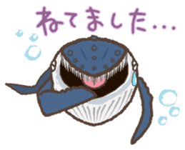 dolphin,whale,orca Sticker sticker #1041690