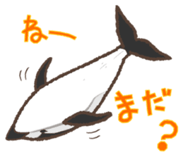 dolphin,whale,orca Sticker sticker #1041695