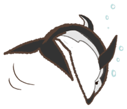 dolphin,whale,orca Sticker sticker #1041713