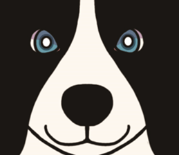 Border Collie every day sticker #1043922