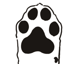 Border Collie every day sticker #1043923
