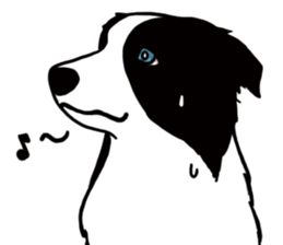 Border Collie every day sticker #1043927