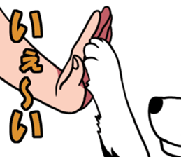 Border Collie every day sticker #1043928