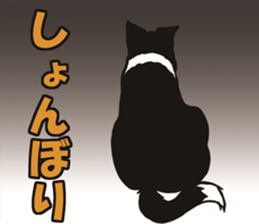 Border Collie every day sticker #1043931