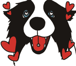 Border Collie every day sticker #1043933