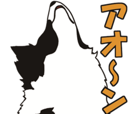 Border Collie every day sticker #1043938