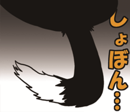 Border Collie every day sticker #1043942