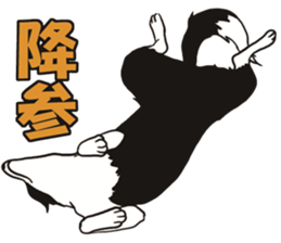 Border Collie every day sticker #1043943