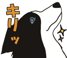 Border Collie every day sticker #1043945