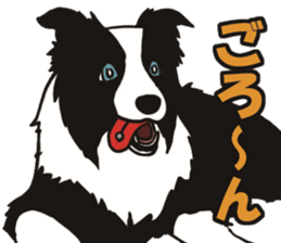 Border Collie every day sticker #1043950
