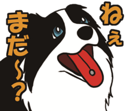 Border Collie every day sticker #1043951