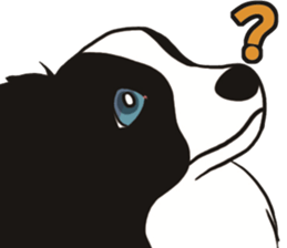 Border Collie every day sticker #1043954