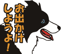 Border Collie every day sticker #1043955
