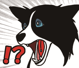 Border Collie every day sticker #1043956