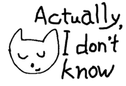 The interlude of the cat named RIN V6/EV sticker #1044969