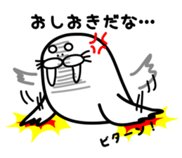 walrus late(It's not a seal & sea lion) sticker #1046464