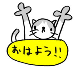 CAT CAN TELL sticker #1046535