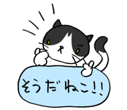 CAT CAN TELL sticker #1046545