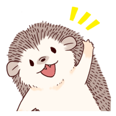 "TAWASHI" the tiny hedgehog