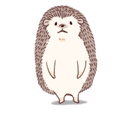 "TAWASHI" the tiny hedgehog sticker #1046971