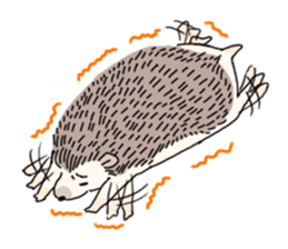 "TAWASHI" the tiny hedgehog sticker #1046976