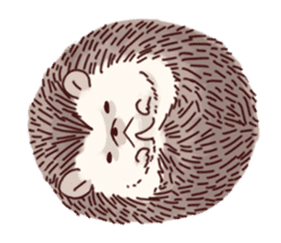 "TAWASHI" the tiny hedgehog sticker #1046980