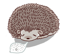 "TAWASHI" the tiny hedgehog sticker #1046981