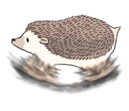 "TAWASHI" the tiny hedgehog sticker #1046992