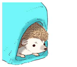 "TAWASHI" the tiny hedgehog sticker #1046994