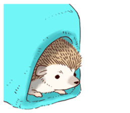 "TAWASHI" the tiny hedgehog sticker #1046994